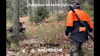 Nachsuchen mit dem Schweisshund  Aufgeben ist keine Option [upl. by Najram]