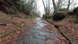 La Via Sacra dei Castelli Romani  Escursione al Monte Cavo [upl. by Darian]