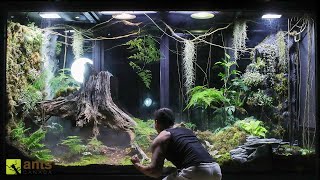 A War Broke Out in My Giant Rainforest Vivarium [upl. by Siegfried767]