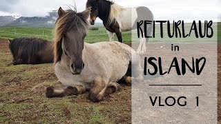 ISLAND REITURLAUB Unser Haus erste Yogastunde und Ponys kennenlernen 🐴 [upl. by Seraphim]