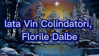 lata Vin Colindatori Florile Dalbe VersuriLyrics Video [upl. by Laurens218]