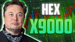 HEX PRICE WILL SOAR TO X9000  HEX IS FINALLY DOING IT [upl. by Leiuqeze]