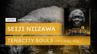 Seiji Niizawa  Tenacity Souls Original Mix  Redolent Music [upl. by Hudis]