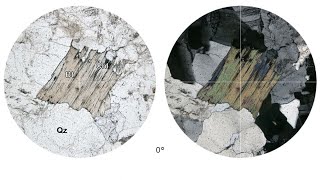 Virtual Microscope Βιοτίτης Χλωρίτης Χαλαζίας  Biotite Chlorite Quartz [upl. by Oiram12]