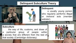 Cultural Deviance Theory and Delinquent Subculture Theory [upl. by Lynd]