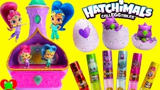 Shimmer and Shine Jewelry Box and Hatchimals CollEGGtibles [upl. by Mcmillan]