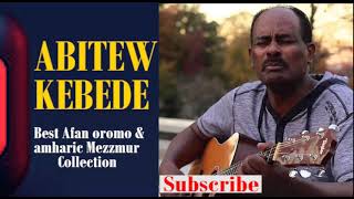 Discovering the SoulStirring Melodies of Abitew Kebedes Mezmur Collection [upl. by Ahsiemac730]