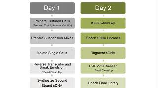 Single Cell RNASequencing Introduction [upl. by Luana]