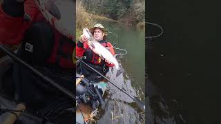 Kayak Fishing Cowlitz River Coho ‎Salmon November ‎2016 [upl. by Erdeid]