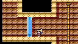 Wonder Boy in Monster Land Master System  Complete Playthrough [upl. by Ahslek70]