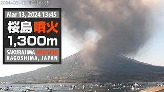 2024年3月13日 1345 桜島 噴火 1300ｍ  Sakurajima Eruption [upl. by Lister]