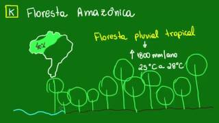 Floresta Amazônica  Ecologia  Biologia [upl. by Nairdna]