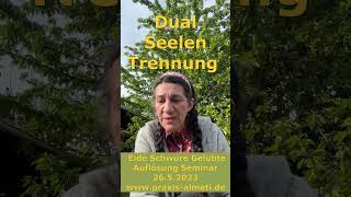 Dual Seelen Trennung durch alte Eide Schwüre und Gelübde  Auflösung Seminar online 2652023 [upl. by Anisirhc563]