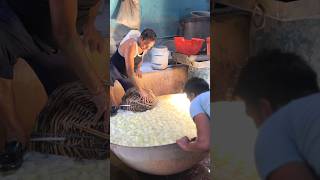 Petha Making😍 streetfood viral agra explore indianstreetfood shortvideo shorts petha [upl. by Petey656]