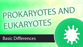 Prokaryotic and Eukaryotic Cell Differences [upl. by Tugman]