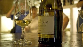 Chablis France • Chablis Wine Tasting in the Burgundy Wine Region  European Waterways [upl. by Fayre]