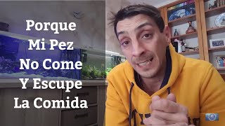 🔵 Porque Mi Pez No Come Y Escupe La Comida Acuarios MB [upl. by Nonnaihr61]