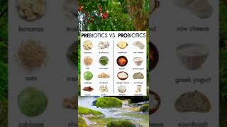 Prebiotics vs Probiotics for Healthier Youhealthtips healthylifestyle healthyfood [upl. by Idmann]