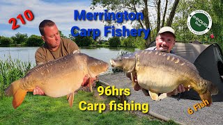 210  Merrington Carp Fishery 96hrs Carp Fishing [upl. by Inessa]