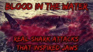 Blood in the water The 1916 Shark Attacks that inspired the movie Jaws [upl. by Lehcor]