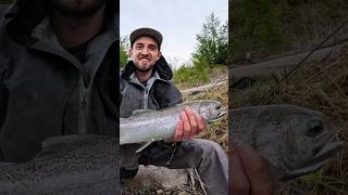 Fun day of steelhead fishing catch and release [upl. by Aicirtam]