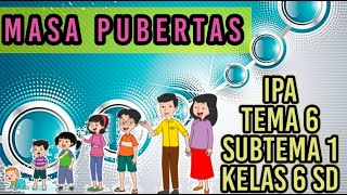 PUBERTAS  MATERI IPA KELAS 6 TEMA 6 [upl. by Gravante]