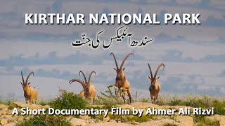 Kirthar National Park  سندھ آئبیکس کی جنًت [upl. by Arikat]