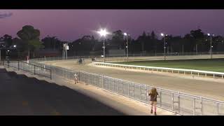 Mildura Harness Racing Club 18 Sep 2023 Trial 2 [upl. by Canice972]