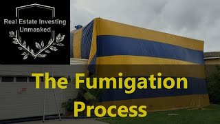 How Does Fumigation Work The Whole Process As I Saw It [upl. by Gussman]