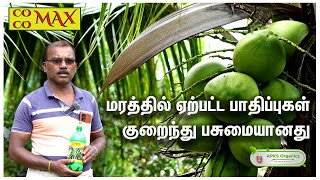 Tamil Coconut Online Farmer MrRajaram giving feedback about our Cocomax result [upl. by Krall]