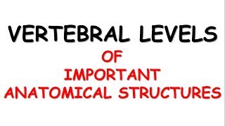 Vertebral levels of Important Anatomical Structures [upl. by Laurena]