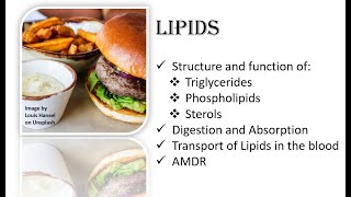 Introduction to the Lipids [upl. by Monique]