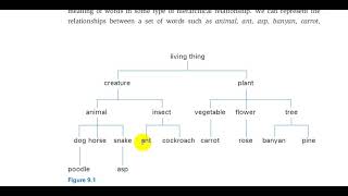 11 شرح علم اللغةStudy of languageHyponymyالفصل التاسع 9الاستاذ محمد نجم النوفلي [upl. by Suiremed]