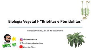 Biologia Vegetal I quotBriófitasquot e quotPteridófitasquot [upl. by Knepper]