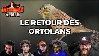 LE RETOUR DES ORTOLANS Worms WMD [upl. by Wyndham60]