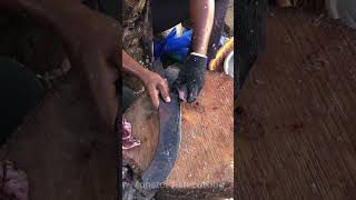 Amazing Pomfret fish cutting skillsshorts [upl. by Daggett953]