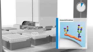 Streamlining NGlycan Sample Preparation [upl. by Remmer54]