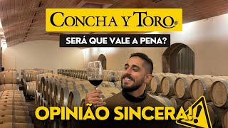 Concha Y Toro  Tour Passeio na Vinícola mais famosa do Chile VALE A PENA [upl. by Ecnarwal]