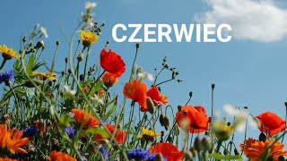 LEW CZERWIEC 2024 wybieraj mądrze  bo idzie nowe🦋🐞 [upl. by Asyar959]