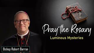 Luminous Mysteries  Pray the Rosary with Bishop Robert Barron [upl. by Eenehs]