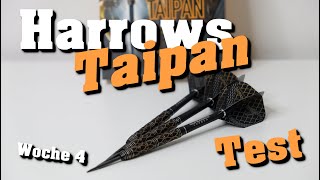 Harrows Taipan Test  Darts Review [upl. by Ahsenauq]