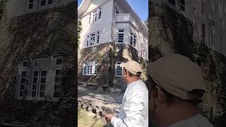 Hotel Woodville Palace Shimla viral hotel himachalpradesh beautyofhills tour2himachal [upl. by Nnayecats]