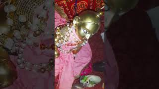 Laddu gopaltrendingshorts sorts tulsishyam love song watsappstatus tulsisong [upl. by Asteria562]