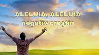 Aleluia Aleluia  Negativ creștin [upl. by Eblehs533]