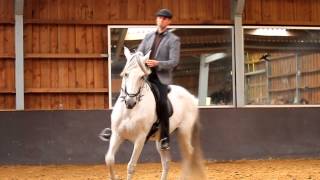 Marius Schneider demonstration Stal de Maesberg Arnhem [upl. by Ajed]