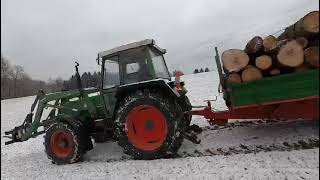 Holztransport 20 💪🏻 Fendt 308 am Limit🤔 [upl. by Saum]