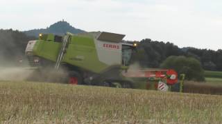 Top Monster Maschinen wieder Unterwegs Claas Lexion 670 TT Terra Trac Mähdrescher beim Winter Raps [upl. by Dorothi]