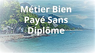 Top 9 des Métiers les Mieux Payés au Monde Sans Diplôme  Par un étudiant dHarvard [upl. by Silecara]