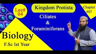 Biology Ch07Lecture04 Ciliate and Foraminiferans FSc 1st Year [upl. by Halfon392]