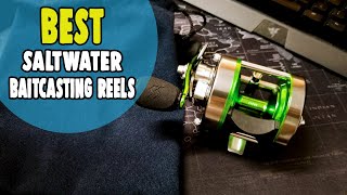 Best Saltwater Baitcasting Reels in 2021 – 10 BudgetFriendly Options [upl. by Morette]